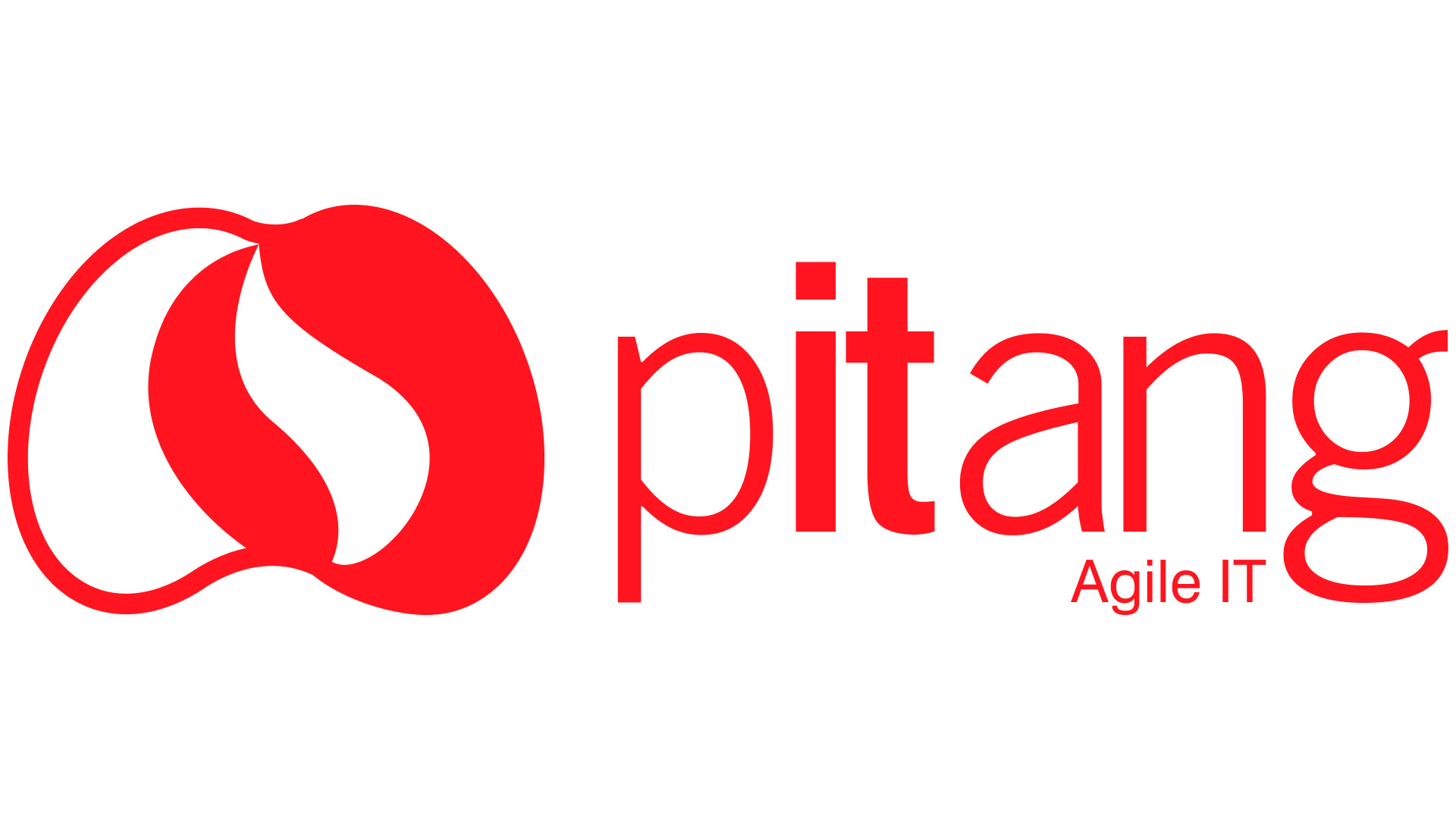 PITANG CONSULTORIA E SISTEMAS S/A
